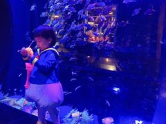 -成都浩海立方海洋公园