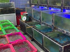 -众味海鲜大排档·活海鲜·潮汕味(南澳店)
