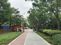 -绿堤公园