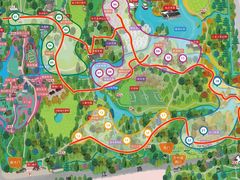 -上海共青森林公园