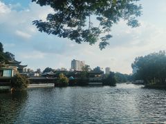-荔湾湖公园