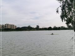 -鹤之洲湿地公园