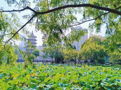 -宝岛公园
