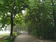 -中国茶叶博物馆(双峰馆区)