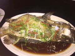清蒸深海斑鱼-班达海鲜餐厅