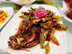 -瑞福园联谊餐室(茂名南路店)