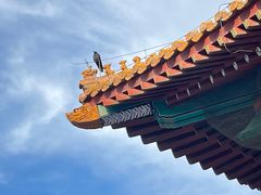 -故宫博物院(故宫)
