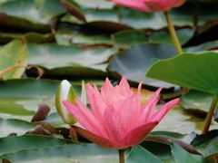 -白鹭湾湿地公园