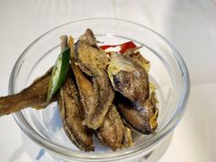 -人杰鱼乐轩(珠江路店)