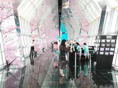 -上海环球金融中心云端足球盛典