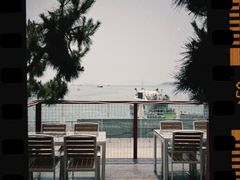 -船歌·鱼水饺青岛菜(奥帆中心店)