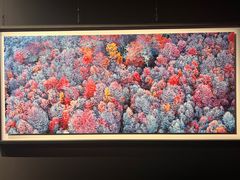 -罗红摄影艺术馆