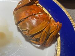 -月湖翠·上海菜(思南公馆淮海店)