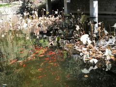 -天津盘山风景名胜区