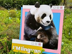 -栾川竹海野生动物园