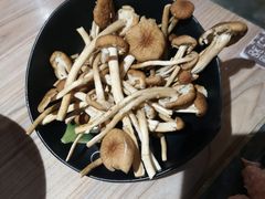 茶树菇-探窝·竹笙椰子鸡(杨箕店)