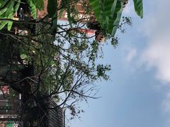 -磁器口古镇