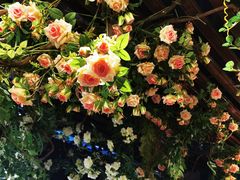 -第101座花园餐厅(湖滨88店)