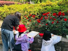 -苏州河梦清园环保主题公园