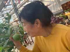 -长春农业博览园