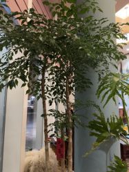 -娇玫荟SPA