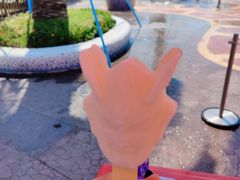 -上海海昌海洋公园