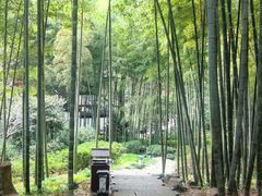 -杭州黄龙洞