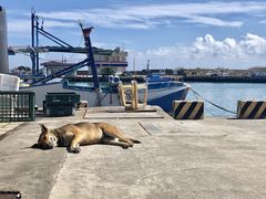 -白沙湾海滩