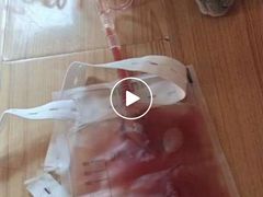 -关爱动物医院·心脏·中兽医·异宠(金牛路分院)