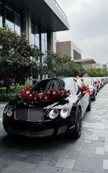 -喜乐汇·婚车(华润橡树湾3期店)