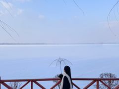-丁香湖公园