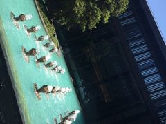 -上海崇明金茂凯悦酒店