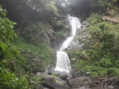 -石台牯牛降景区