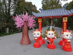 -上海海湾国家森林公园