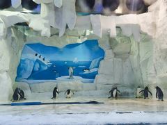 -华夏文旅海洋公园