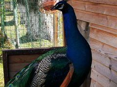 -云南滇池花园国际大酒店温泉