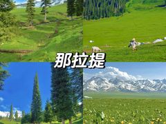 -赛里木湖风景名胜区