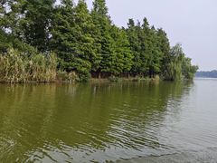 -苏州太湖国家湿地公园