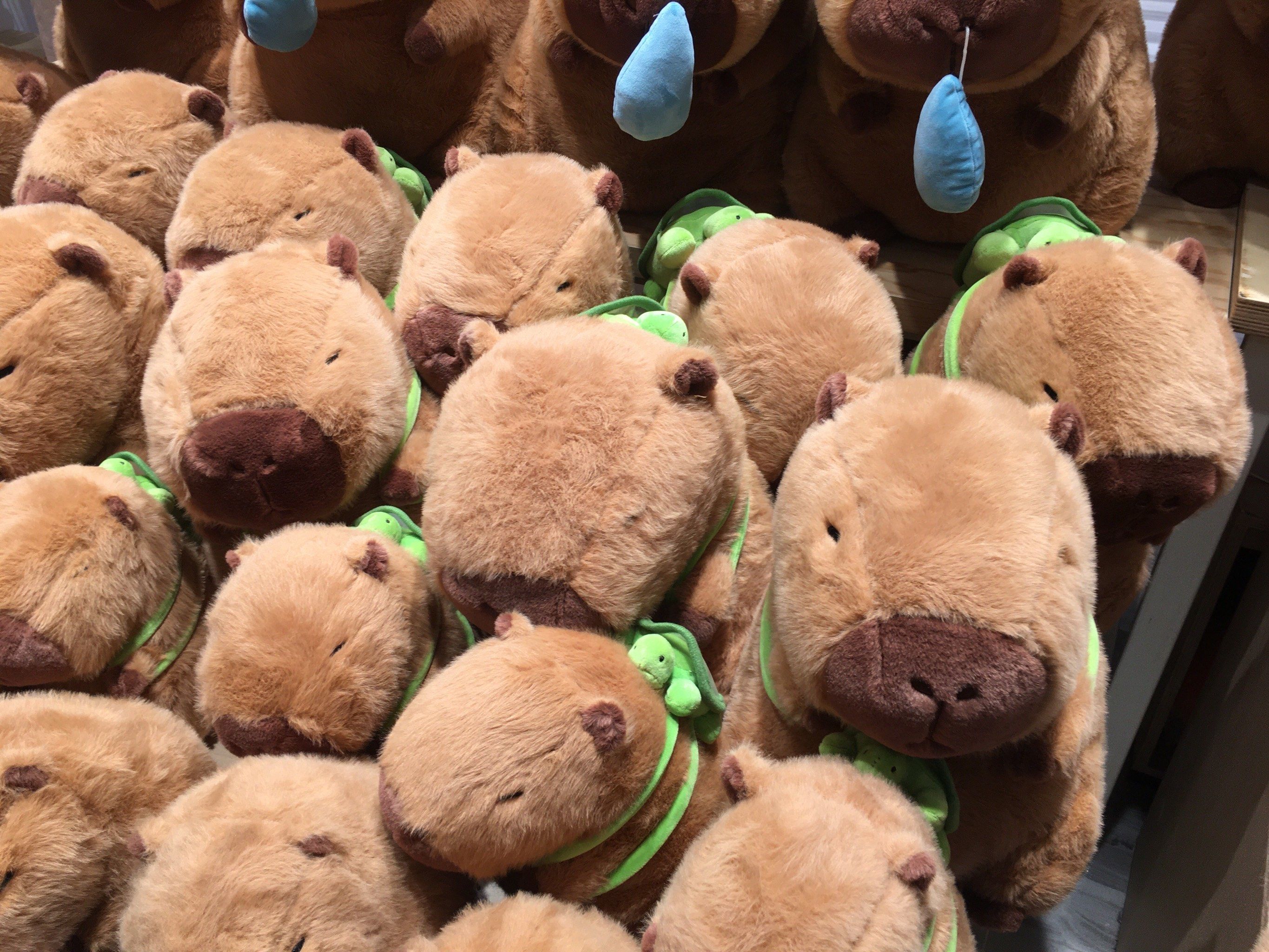 可爱的玛卡巴卡