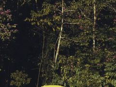 -广东天露山旅游度假区