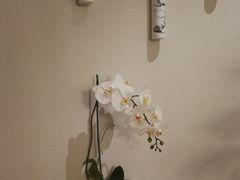 -Dragonfly悠庭·按摩Spa(浦东嘉里城店)