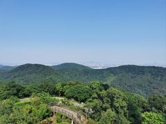 -南京老山国家森林公园