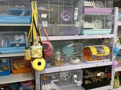 -钓仓鼠(洋桥北里小区店)