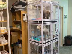 -宠物梦想家(日月豪庭店)