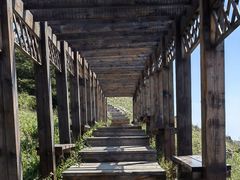 -白草畔自然风景区