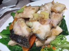 -大荣华酒楼(元朗老店)