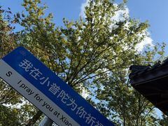 -东钱湖小普陀景区