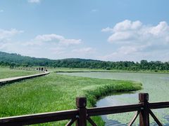 -塞罕坝国家级自然保护区