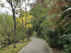 -上海吴淞炮台湾国家湿地公园