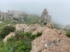 -白草畔自然风景区